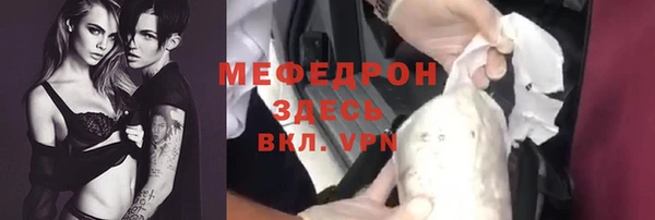 индика Мегион