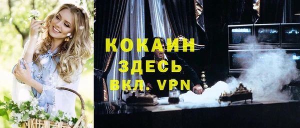 индика Мегион