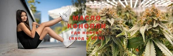 индика Мегион