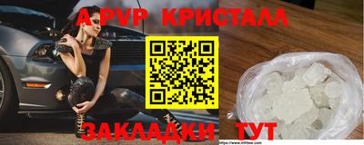 шишки Заволжье