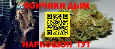 шишки Заволжье