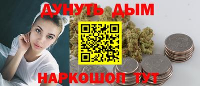 шишки Заволжье