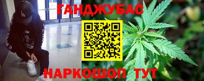 шишки Заволжье