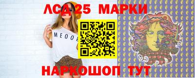шишки Заволжье