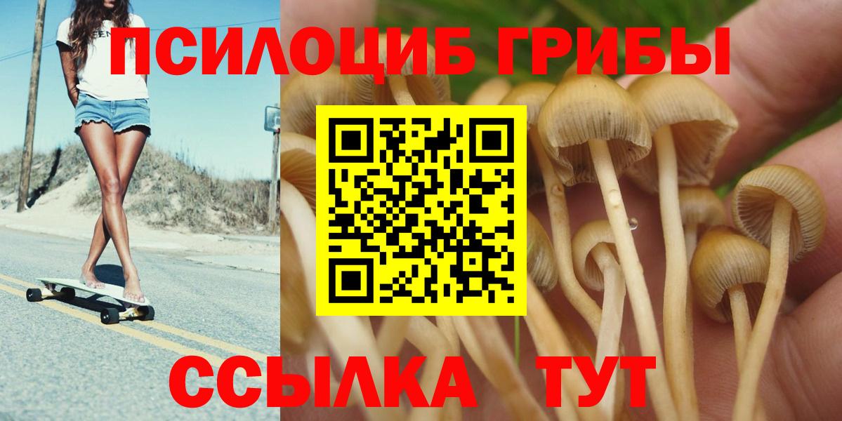 Армавир  Псилоцибиновые грибы Cubensis  где найти   Вход с VPN 