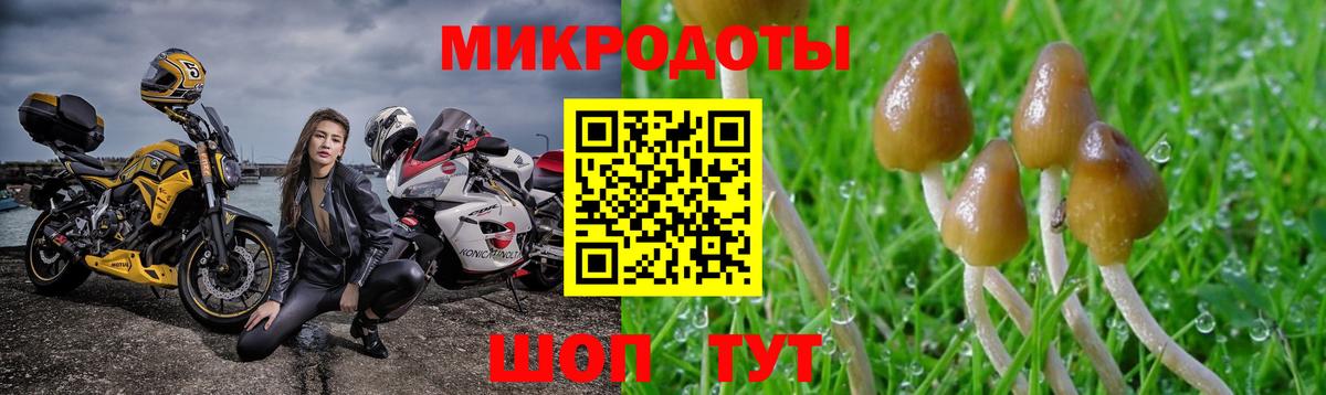 Псилоцибиновые грибы прущие грибы Армавир
